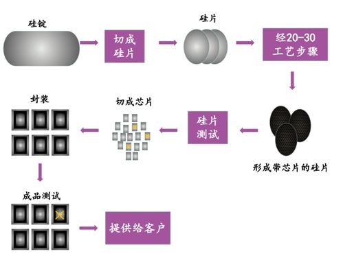 芯片 汽車(chē) 新能源 生物醫(yī)藥,那些上海關(guān)鍵產(chǎn)業(yè)還好嗎