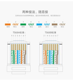 綠聯超五類屏蔽網線 高速網絡的穩定基石